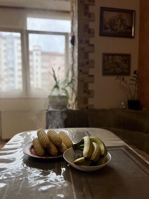 Оренда Квартира 2-кімнатна, 1/7 поверх на вул. Хмельницького Б. Івано-Франківськ - фото 15