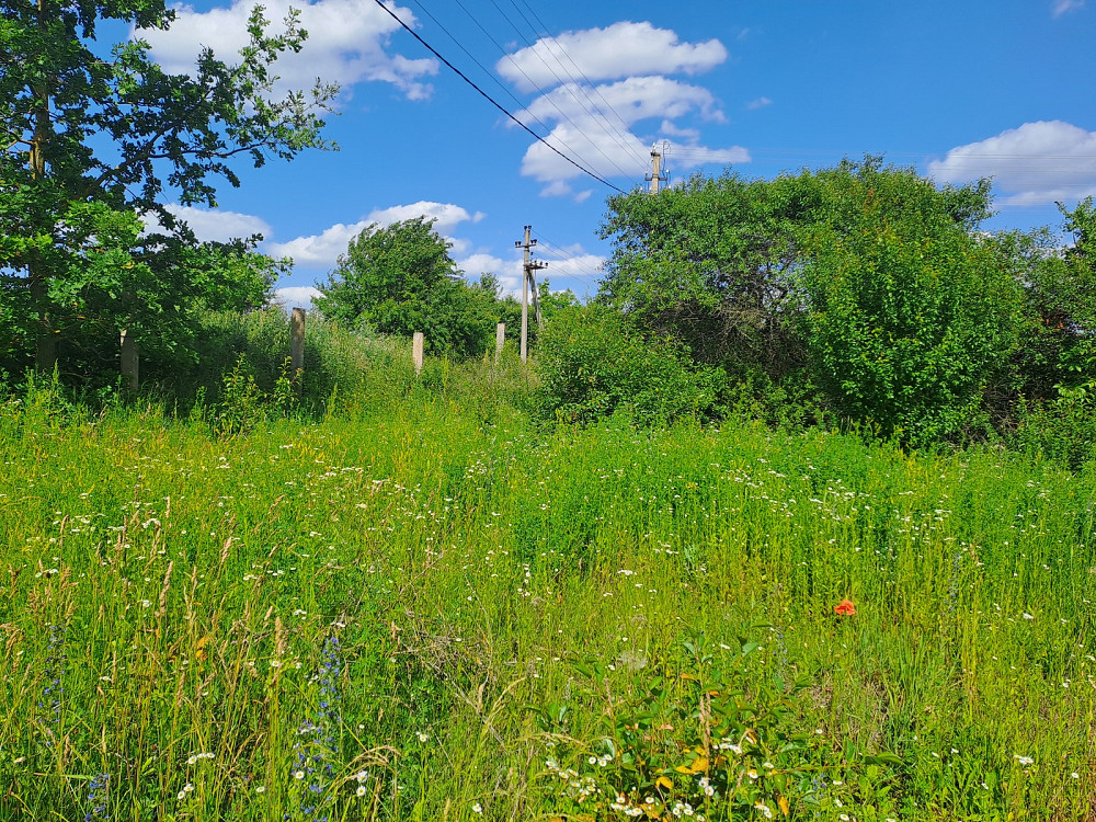 Продаж земельної ділянки 11 соток Pidhorodne - photo 6