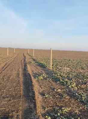 Продаж земельної ділянки 0.1 соток на ул. Центральная, 7 Фонтанка