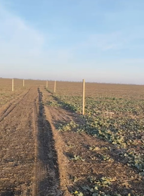 Продаж земельної ділянки 0.1 соток на ул. Центральная, 7 Fontanka - photo 4