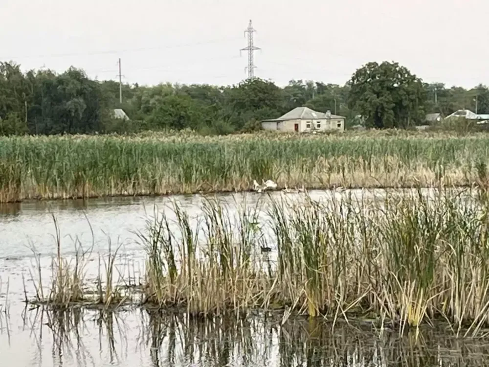 Продаж Будинок на Бережна Dnipro - photo 12