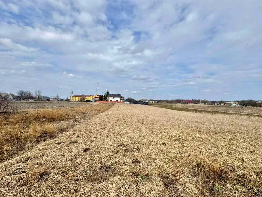 For sale 1-storey House with land 31 ares 68.4 sq.m 2 rooms at вул. Ярослава Мудрого Sosonka - photo 8