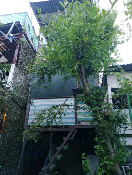 Продам курень на берегу моря в Крыжановке (218 Причал) Kryzhanivka (Kominternivskyi raion) - photo 19