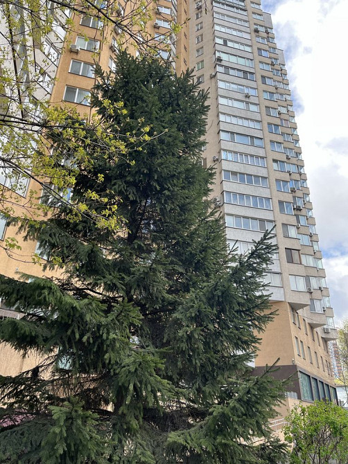 Продаж Квартира 2-кімнатна, 10/25 поверх на Саперно-Слобідська вул., д. 22 Kiev - photo 14