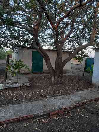 Продам дом в с.Новая  Ковалёвка. Нова Ковалівка