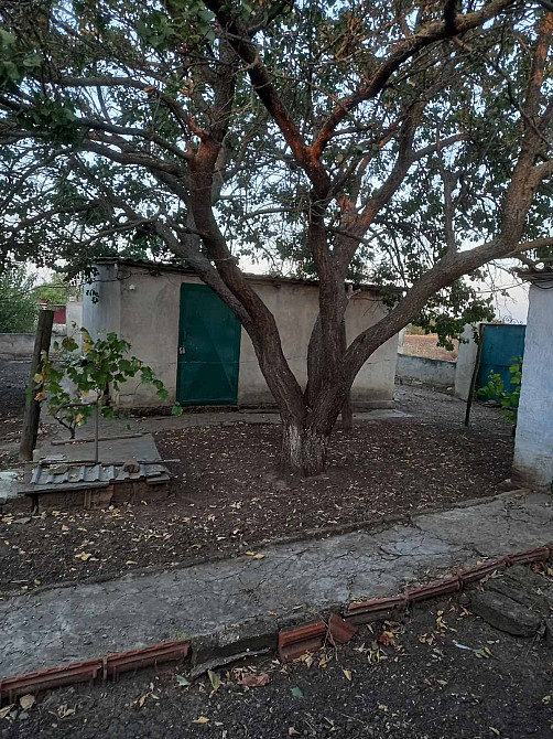 Продам дом в с.Новая  Ковалёвка. Нова Ковалівка - фото 2