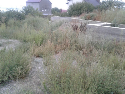 Продаж земельної ділянки 0.1 соток на ул. Центральная (ул. Ленина), 44 Нерубайське - фото 1