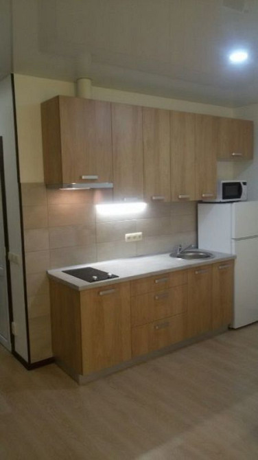 Оренда Квартира 1-кімнатна, 4/10 поверх на ул. Регенераторная, 4 Київ - фото 4