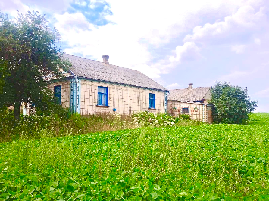 Продаж 1-поверховий Будинок з ділянкою 0.2496 сот 104.4 кв.м 3 кімн. на Новоставська Шостаків - фото 10