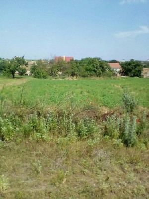 Продаж земельної ділянки 0.1 соток на улица Независимости, 10 Санжійка - фото 5