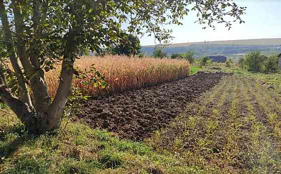 Продаж земельної ділянки 14 соток Чистилів