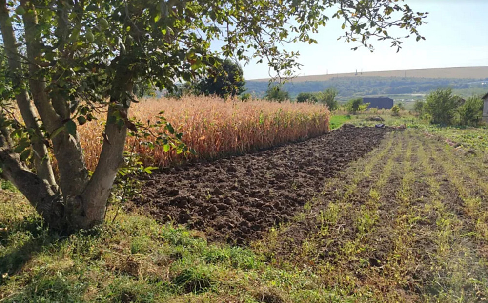 Продаж земельної ділянки 14 соток Чистилів - фото 2