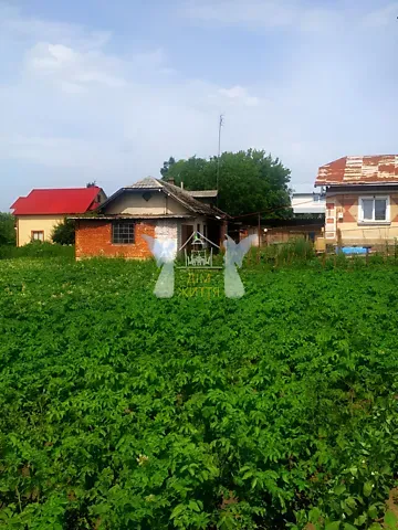 Продаж земельної ділянки  площа 21.4 сот Микулинецька вулиця 24 Велика Березовиця - фото 5