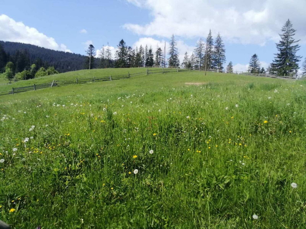 Продаж земельної ділянки 33 соток на Івана-Франка Ворохта - фото 11