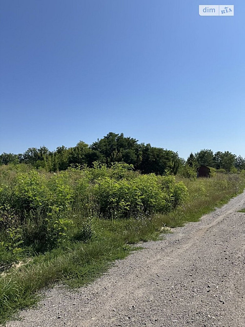 Продаж земельної ділянки 8 соток на масив Поляна Vinnytsya - photo 3