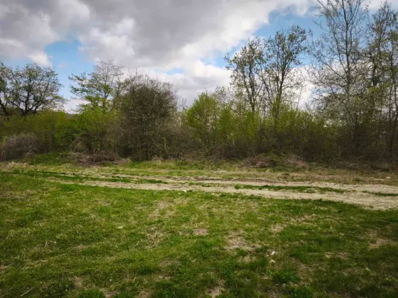 Продажа земельного участка Для строительства частного жилого дома площадь 20 сот Травнева Цигановцы