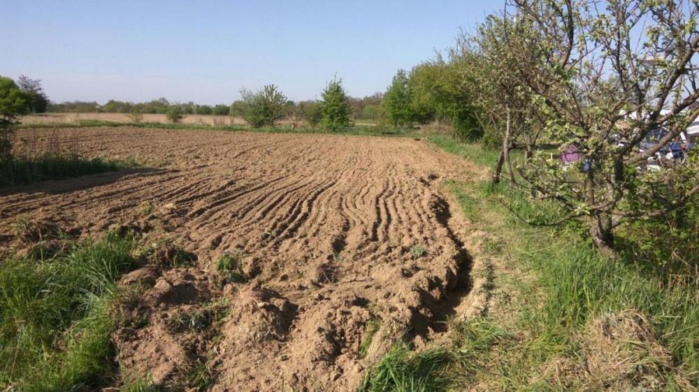 Продаж земельної ділянки 10 соток  - фото 4