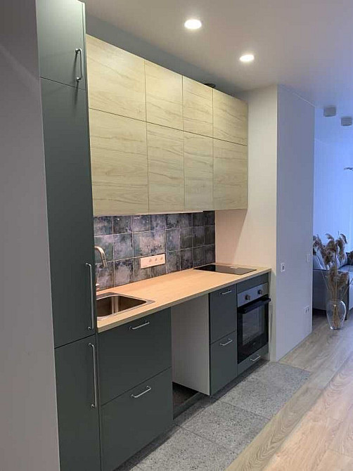 Оренда Квартира 1-кімнатна, 5/25 поверх на ул. Елены Телиги Київ - фото 3