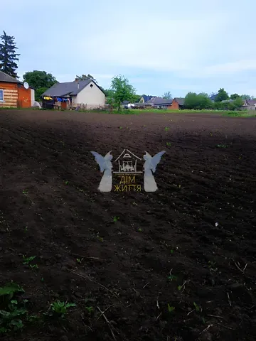 Продажа земельного участка  площадь 26.94 сот Просвіти (1 Травня) вулиця 1  - изображение 4