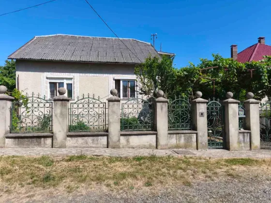 Продаж 2-поверховий Будинок з ділянкою 7 сот 195 кв.м 5 кімн. на Центральна Ужгород