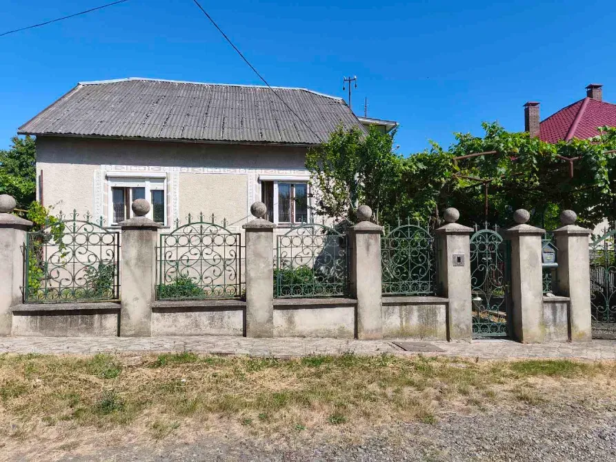 Продаж 2-поверховий Будинок з ділянкою 7 сот 195 кв.м 5 кімн. на Центральна Ужгород - фото 1