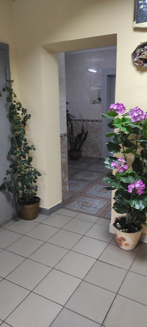 Продаж Квартира 1-кімнатна, 17/22 поверх на Пчілки Олени вул., д. 4 Київ - фото 16