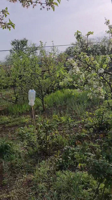 Продам дом в селе Светлое, 5 км. от Одессы Світле - фото 19