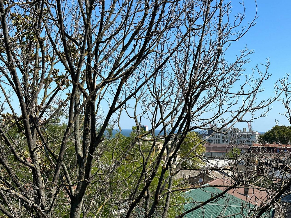 Продажа  квартиры с видом на море в центре города Одеса - фото 14