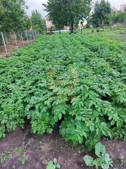 Продаж будинку місто Бориспіль Полевой провулок Бориспіль - фото 9