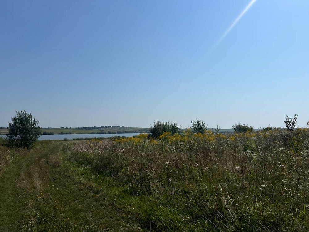 Продаж земельної ділянки 12 соток Судова Вишня - фото 1