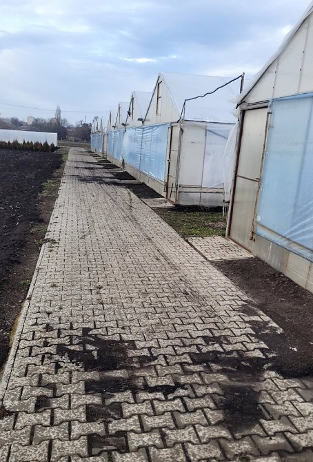 Продаж комерційне приміщення на ул. Молодіжна, 5 приміщень - 1, поверх - 1 Rozdil'na - photo 8