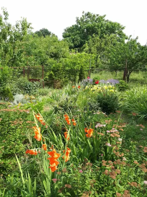 Оренда 1-поверховий Будинок з ділянкою 10 сот 100 кв.м 4 кімн. на вулиця Южна, 21 Одеса - фото 4