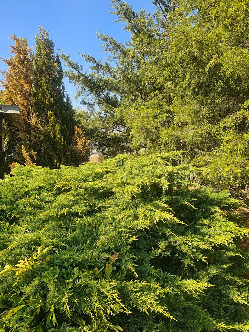 Уютный дом с садом в Новой Долине. До Одессы 15 минут. Нова Долина - фото 16