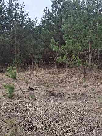 Продаж земельної ділянки 12 соток Kremenets'