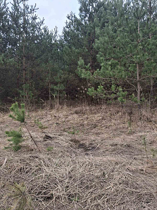 Продаж земельної ділянки 12 соток Kremenets' - photo 1