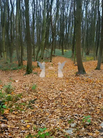 Продажа земельного участка  площадь 43 сот Лісова вулиця 1  - изображение 3