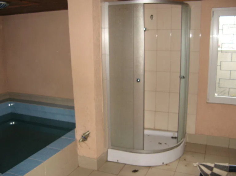 Продам дом с баней в пгт Лиманское (Раздельнянский р-н, 70 км от Одессы) Лиманське (Ренійський район) - фото 12