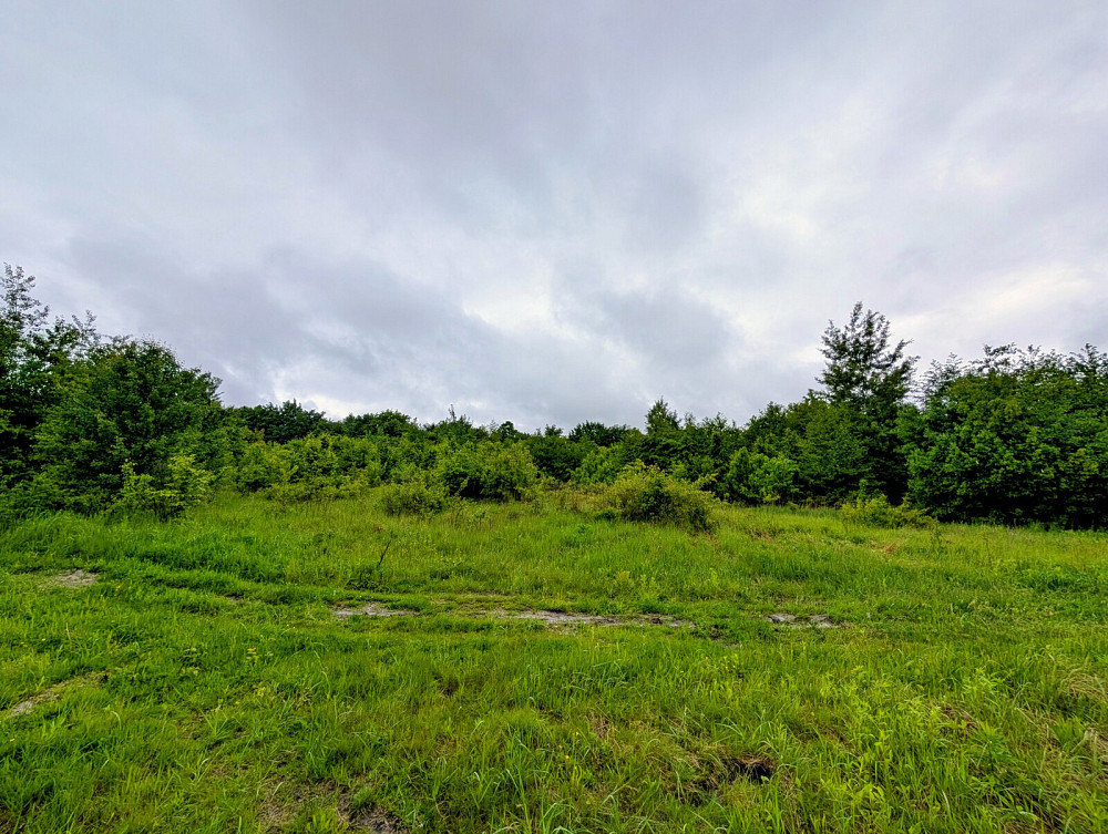 Продаж земельної ділянки 14 соток на урочище за плотами  - photo 1