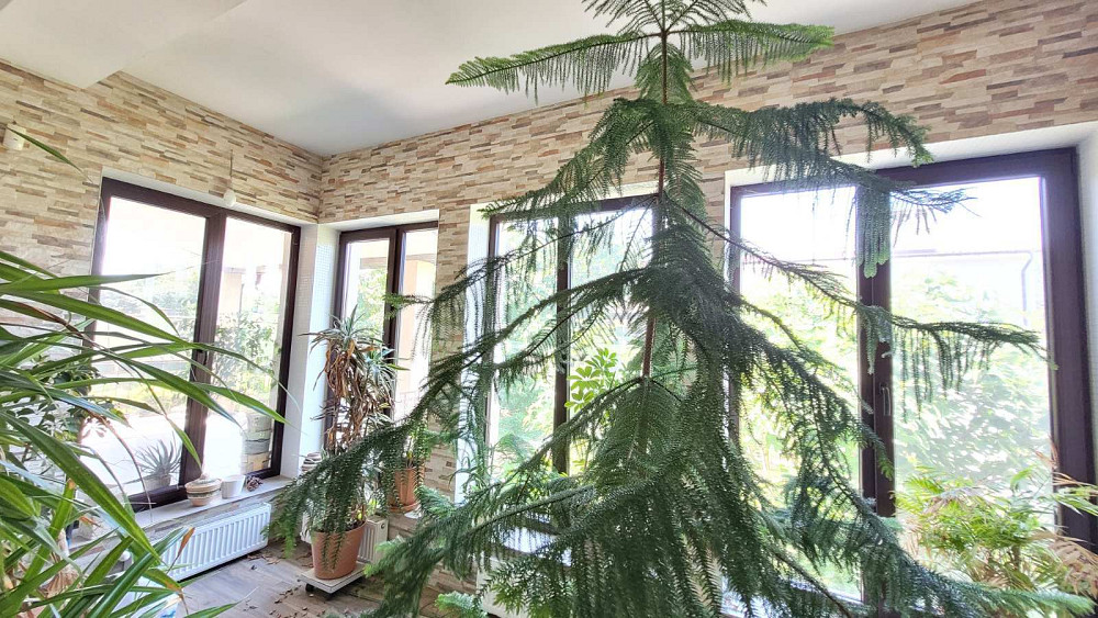 Продам дом. Сумская / Львовская. Район 13 ст. Большого Фонтана Odessa - photo 8