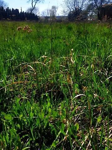 For sale land plot  area 15 ares Галицька вулиця  - photo 3