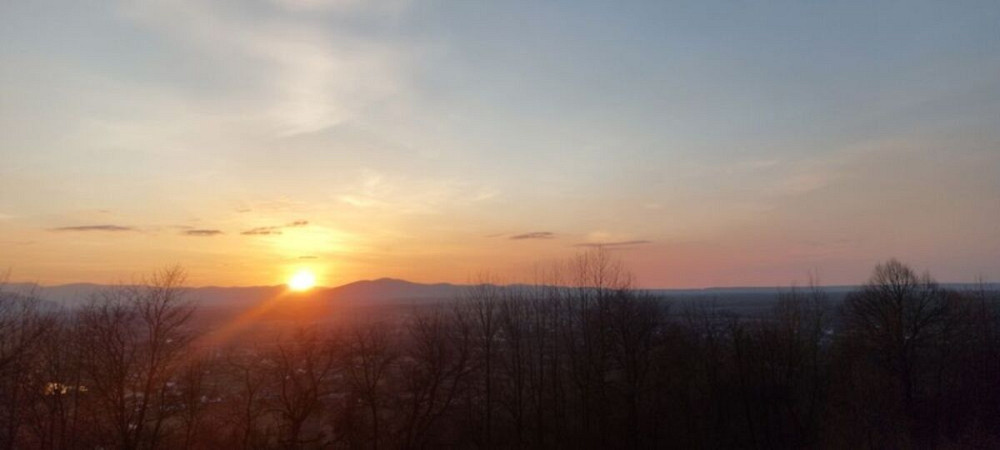 Продаж земельної ділянки 29 соток Жураки - фото 14