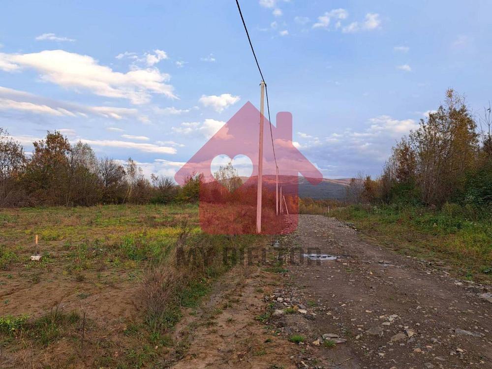 Продаж земельної ділянки 24 соток на невицька  - photo 1