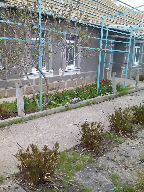 Продам дом за городом Мала Петрівка - фото 1