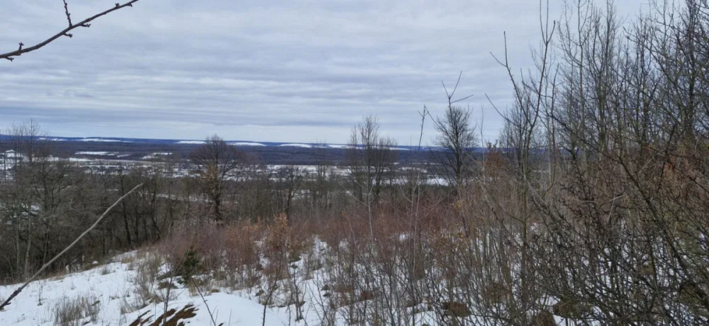 Продаж земельної ділянки 29 соток Жураки - фото 6