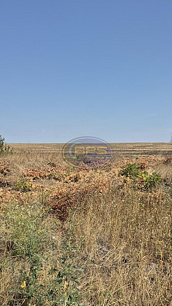 Продаж с/г земельної ділянки Мале - фото 2