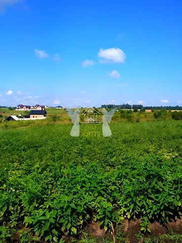 For sale land plot  area 18.5 ares Польова вулиця 1  - photo 6