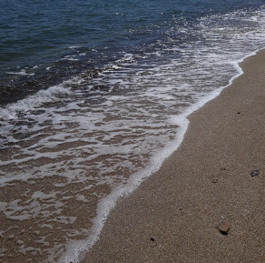 Продаж земельної ділянки 0.3 соток на ул. Дача Ковалевского, 111/2б Odessa - photo 2