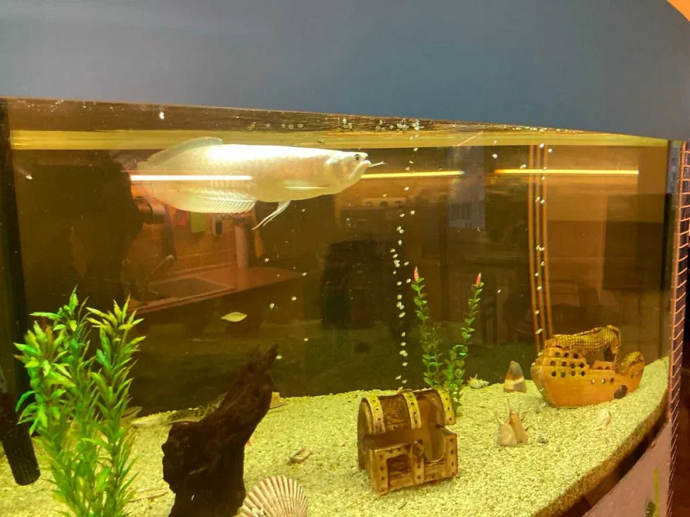 Оренда Квартира 1-кімнатна, 16/16 поверх на Бажана, 26 Київ - фото 2