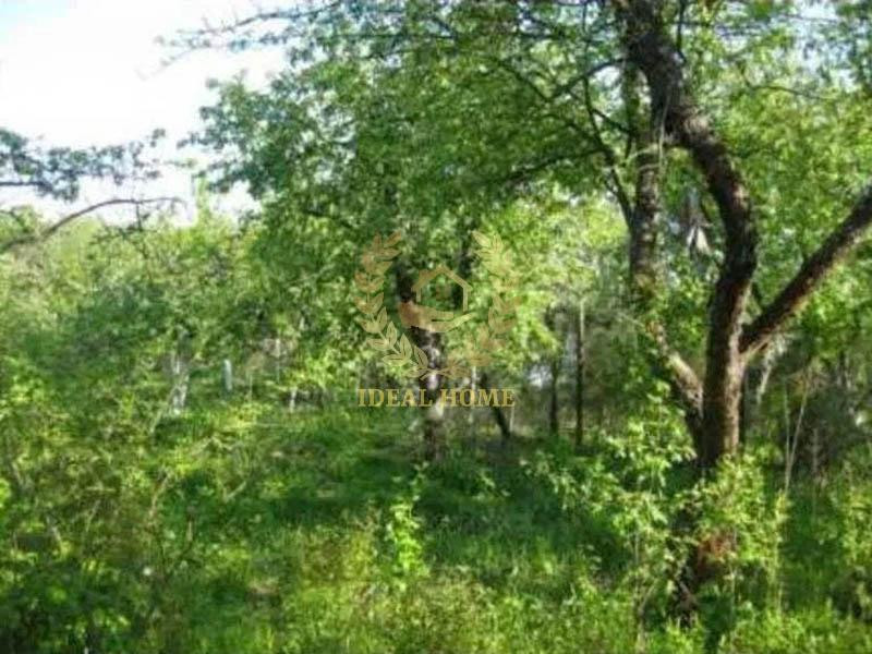 Продам дачний будинок в межах м.Києва Київ - фото 8