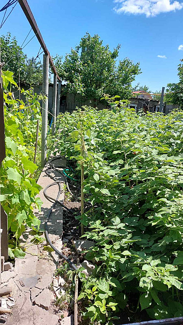 Продам дом на улице Пестеля в Одессе. Одеса - фото 8